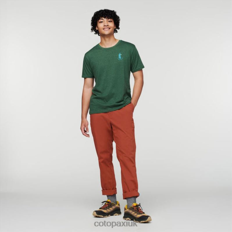 Cotopaxi UK - Salto Ripstop Pants Men Spice Fashion Cotopaxi X4X0H341