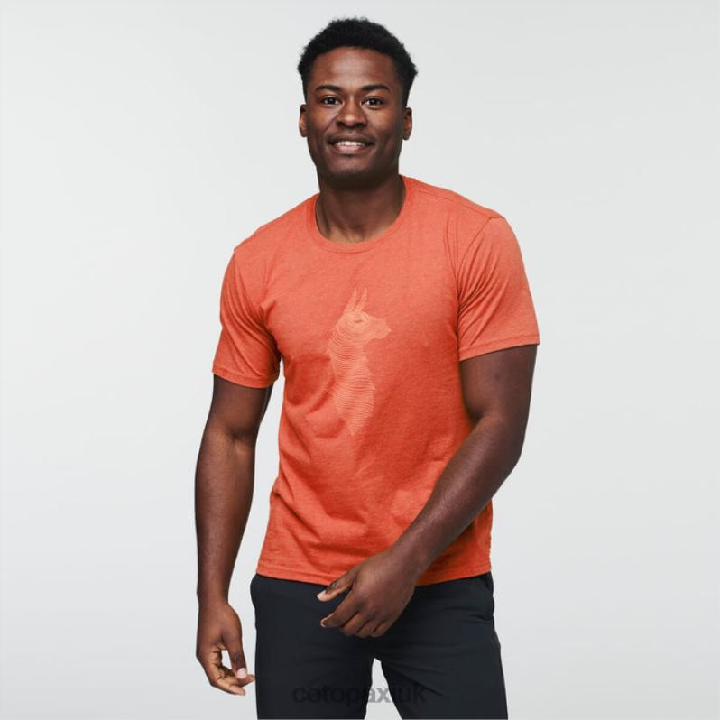 Cotopaxi UK - Canyon Topo Llama T-Shirt Men Collections Cotopaxi X4X0H299