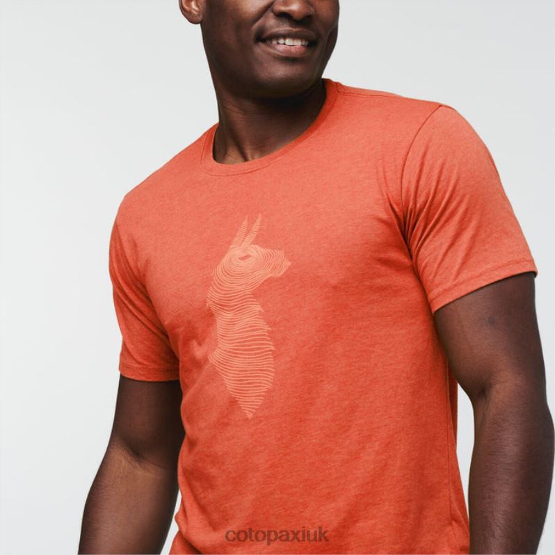 Cotopaxi UK - Canyon Topo Llama T-Shirt Men Collections Cotopaxi X4X0H299