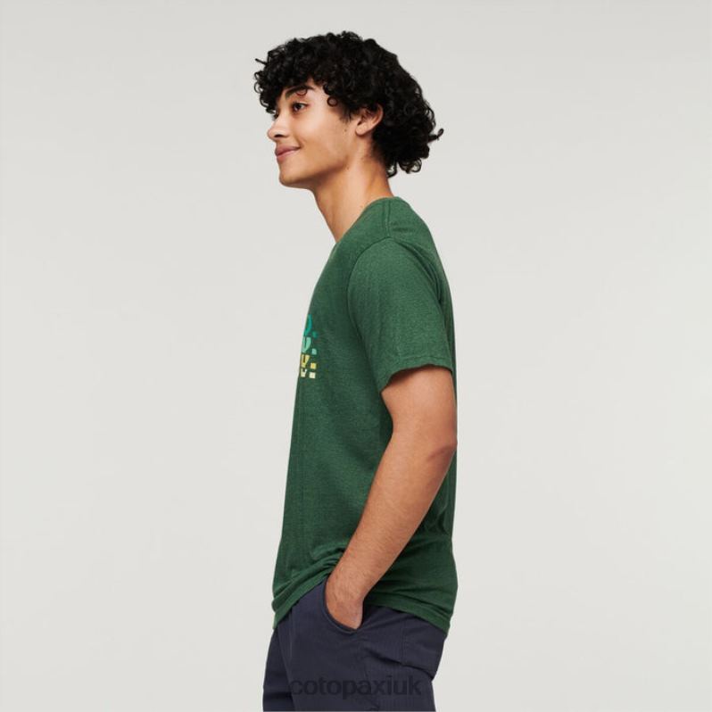 Cotopaxi UK - Do Good Repeat T-Shirt Men Origins Forest Cotopaxi X4X0H312
