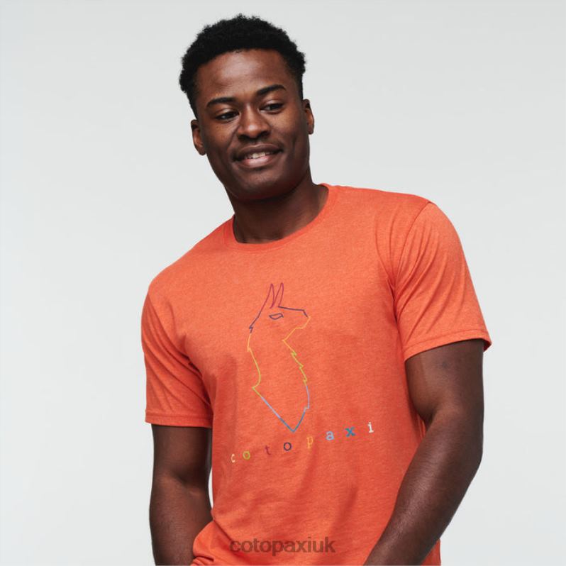 Cotopaxi UK - Electric Llama T-Shirt Men Canyon Origin Cotopaxi X4X0H333
