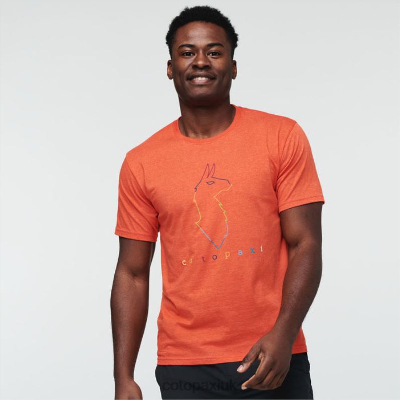 Cotopaxi UK - Electric Llama T-Shirt Men Canyon Origin Cotopaxi X4X0H333