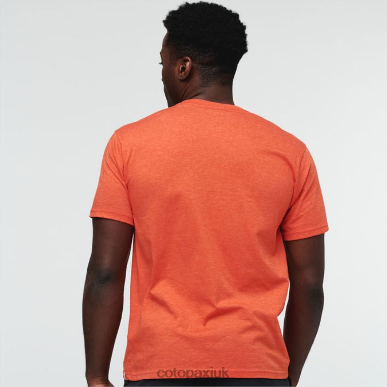 Cotopaxi UK - Electric Llama T-Shirt Men Canyon Origin Cotopaxi X4X0H333