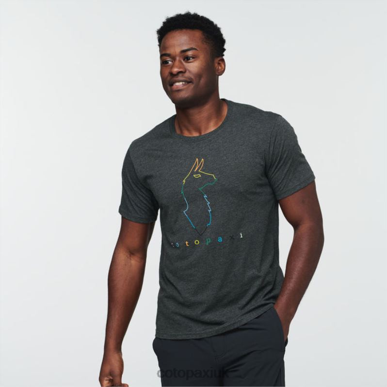 Cotopaxi UK - Electric Llama T-Shirt Men Iron Collection Cotopaxi X4X0H331