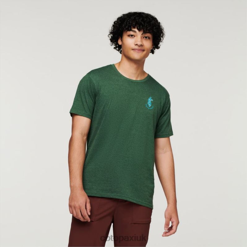 Cotopaxi UK - Fashion Forest Llama Lover Organic T-Shirt Men Cotopaxi X4X0H330