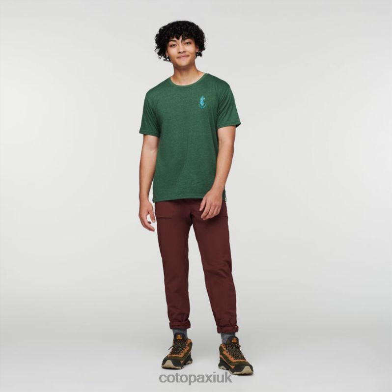 Cotopaxi UK - Fashion Forest Llama Lover Organic T-Shirt Men Cotopaxi X4X0H330