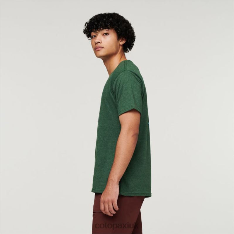 Cotopaxi UK - Fashion Forest Llama Lover Organic T-Shirt Men Cotopaxi X4X0H330