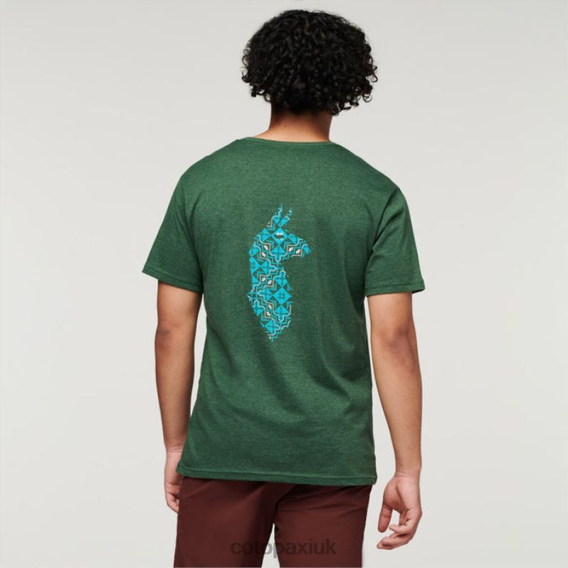 Cotopaxi UK - Fashion Forest Llama Lover Organic T-Shirt Men Cotopaxi X4X0H330