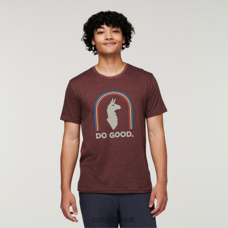 Cotopaxi UK - Original Sunshine Do Good Organic T-Shirt Men Chestnut Cotopaxi X4X0H326