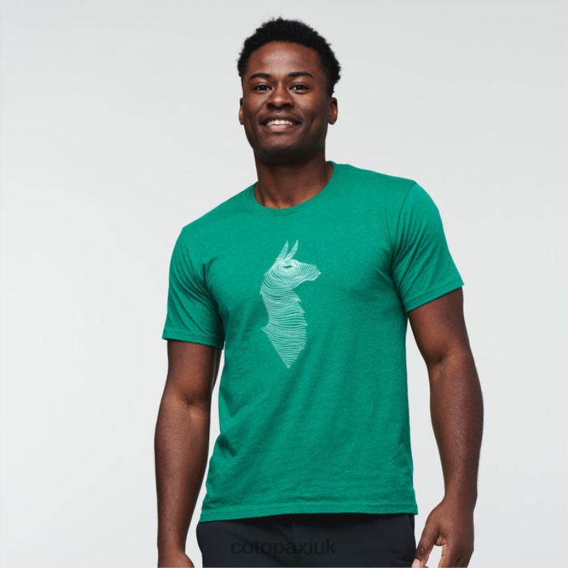 Cotopaxi UK - Verde Fashion Topo Llama T-Shirt Men Cotopaxi X4X0H297