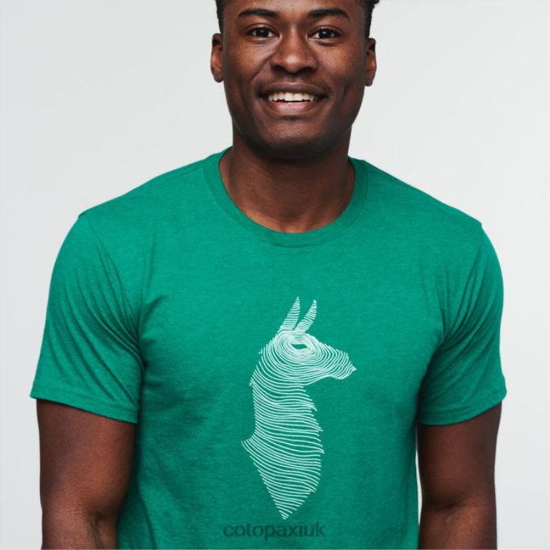 Cotopaxi UK - Verde Fashion Topo Llama T-Shirt Men Cotopaxi X4X0H297