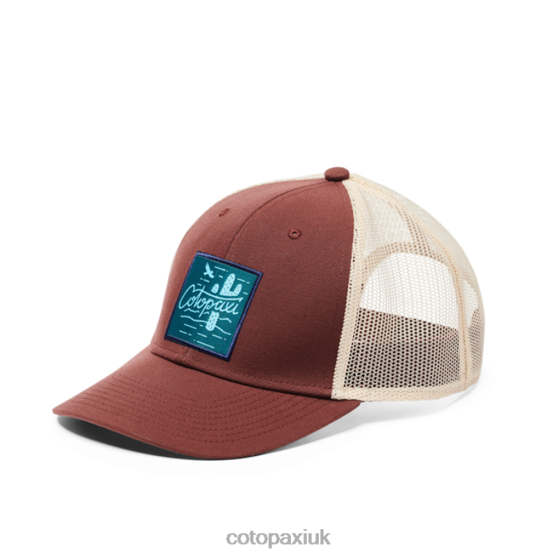 Cotopaxi UK - Hello Cactus Trucker Hat Chestnut Best Cotopaxi X4X0H669