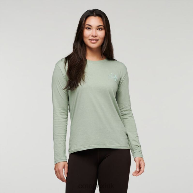 Cotopaxi UK - Brand Hello Llama Long-Sleeve Organic T-Shirt Women Silver Leaf Cotopaxi X4X0H181