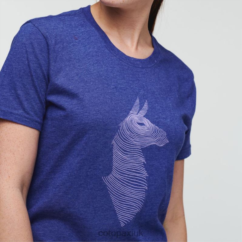 Cotopaxi UK - Brands Topo Llama T-shirt Women Blue Violet Cotopaxi X4X0H171