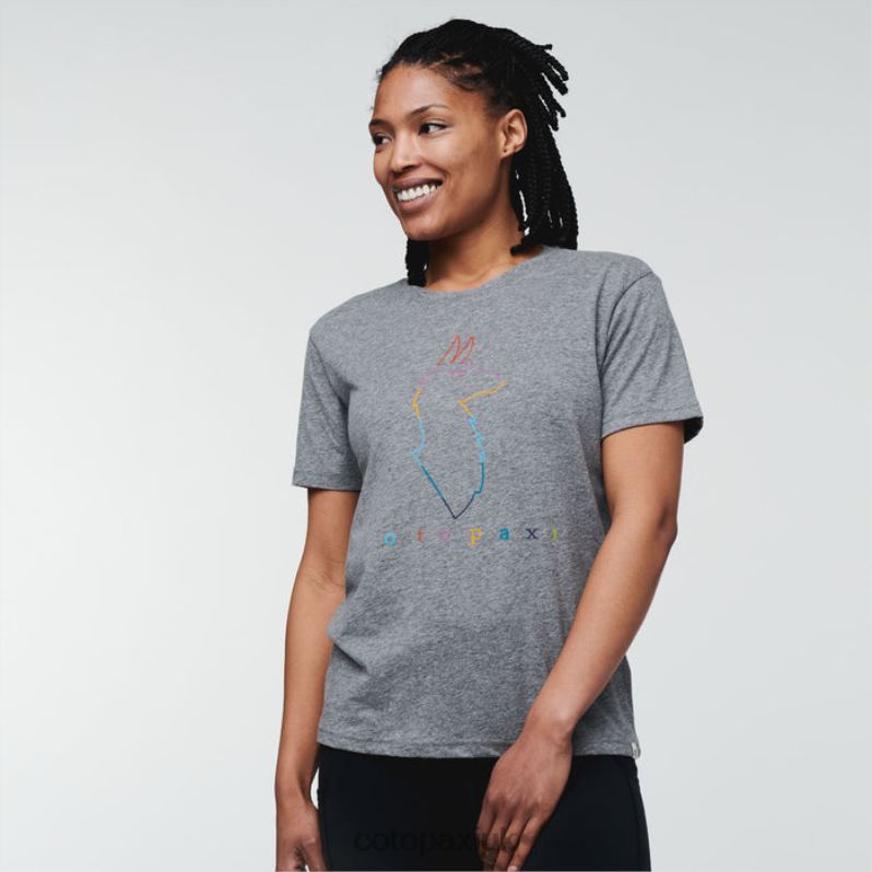 Cotopaxi UK - New Electric Llama T-Shirt Women Heather Grey Cotopaxi X4X0H208