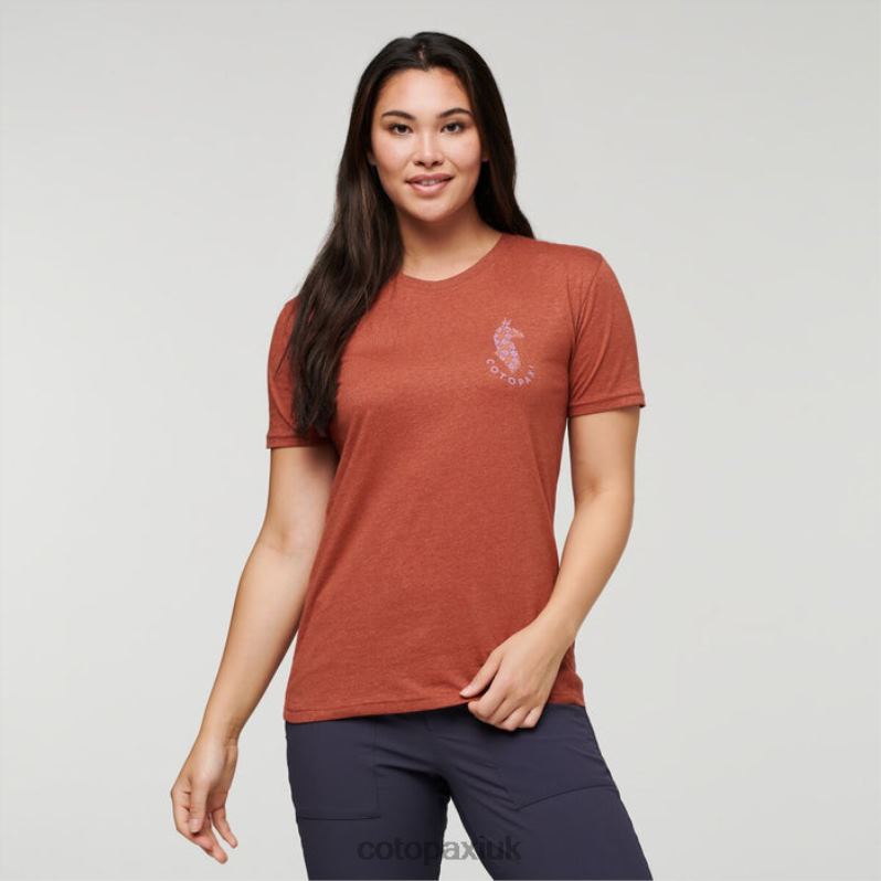 Cotopaxi UK - Spice Llama Lover Organic T-Shirt Women Origin Cotopaxi X4X0H179