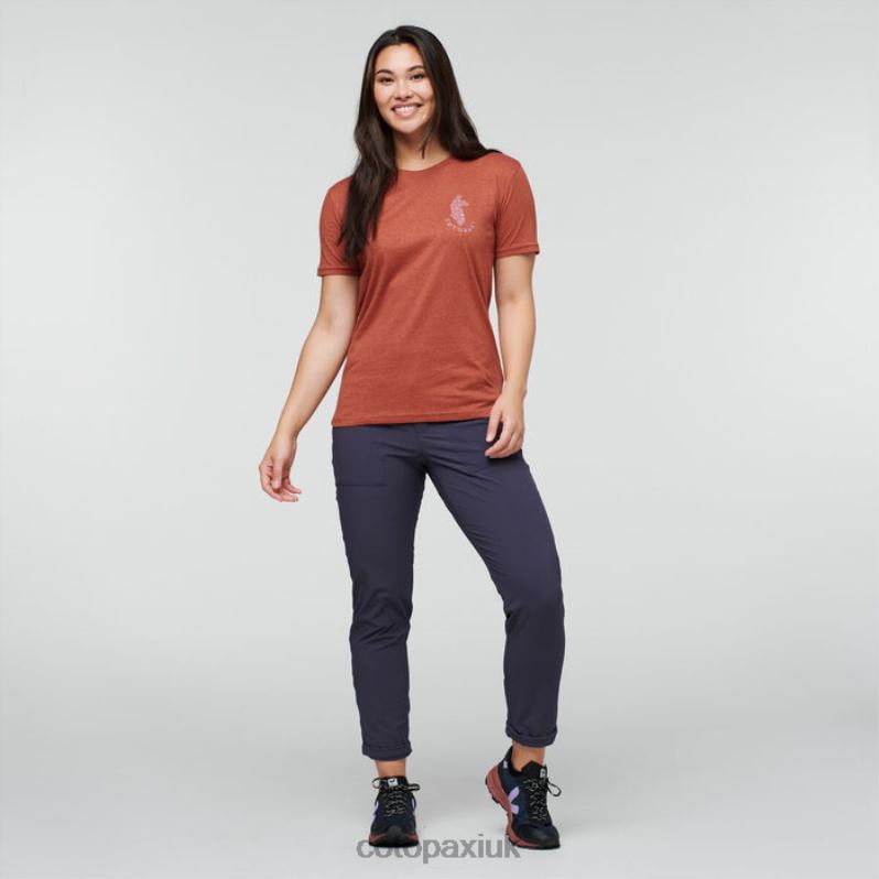 Cotopaxi UK - Spice Llama Lover Organic T-Shirt Women Origin Cotopaxi X4X0H179